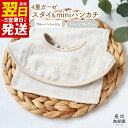 【ふるさと納税】4重ガーゼ スタイ miniハンカチ 各 1枚 泉州南部織 eclat bebe リバーシブル ダブルガーゼ グレー 限定カラー ペールカラー 赤ちゃん ベビー 日本製 綿100% ふわふわの肌触り ボーダー 星柄 性別問わず使える お取り寄せ 関西 大阪府 泉佐野市 送料無料