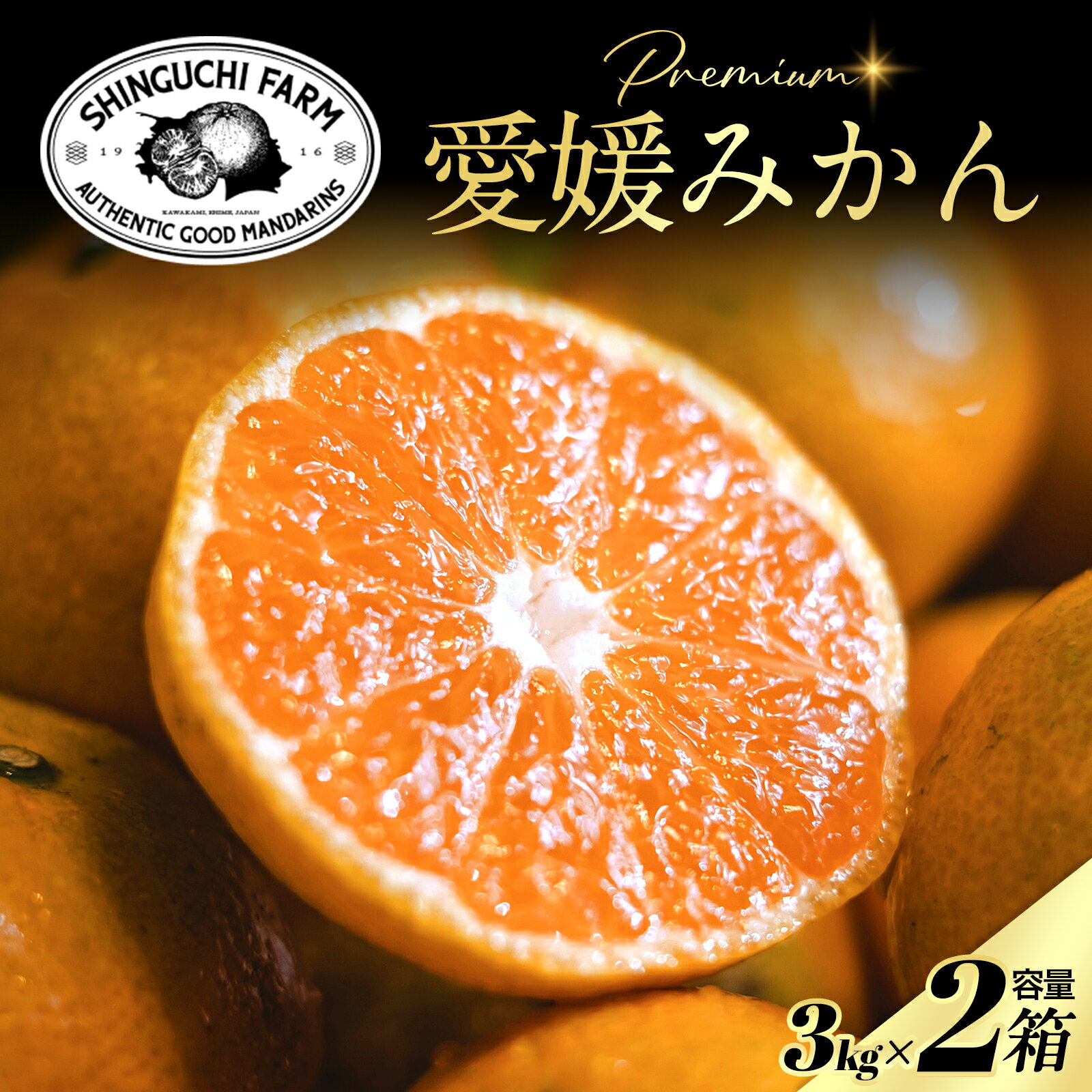 【ふるさと納税】老舗農家が見極めたプレミアム【愛媛みかん3kg×2箱】【愛媛県川上産】【D70-104】_【1677117】 YWTK103