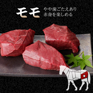 《福岡肥育》国産馬刺したれ付き【カタ100g×6P・モモ100g×4P】【冷凍】 176-039