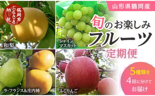 【定期便】【令和8年産先行予約】 山形県鶴岡産 旬のお楽しみフルーツセット(果物) 　【和梨・シャインマスカット・ラ・フランス・庄内柿・りんご 】(計4回、5種) 　産直あぐり