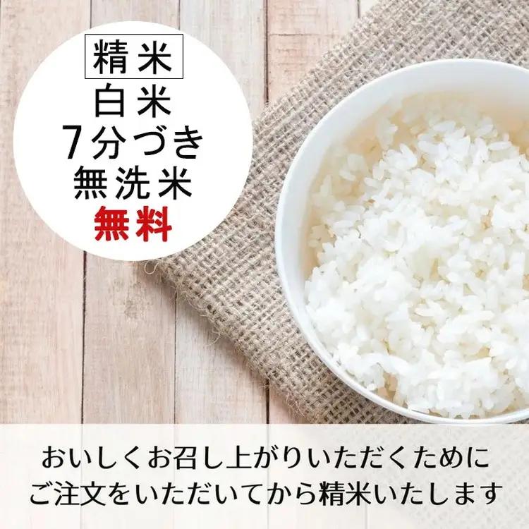 【3回定期便】令和8年産 こしひかり 玄米 5kg 玄米