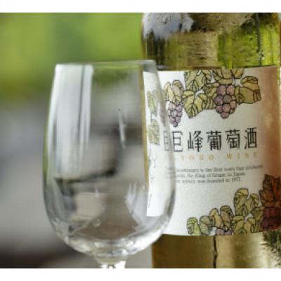 ふるさと納税 久留米市 田主丸町巨峰ワインとブルーベリーワインのセット |  | 01