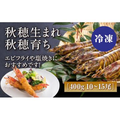ふるさと納税 山口市 秋穂産活き〆冷凍車海老(あいおえび)400g(10〜15尾)【養殖】D238