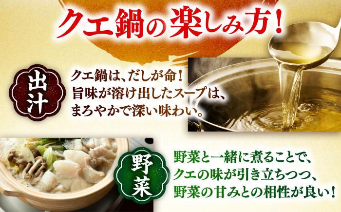 クエ鍋用クエパック500g×2 五島市/金沢鮮魚 クエ くえ 鍋 お鍋 冬 高級 贅沢 [PEP024]