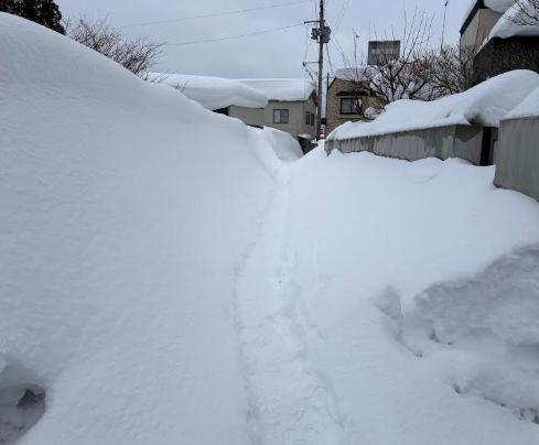 五所川原市令和8年1月青森地方大雪災害支援【返礼品なし】