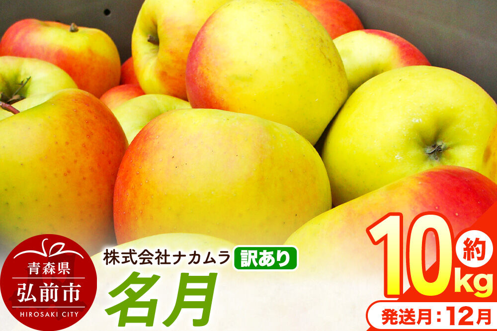 【26年12月発送】りんご 名月【訳あり】約10kg（28～46玉程度）先行受付 青森県産 林檎 リンゴ 果物 くだもの フルーツ 青森県 弘前市 不揃い 規格外 [先行予約 産地直送 家庭用 アップ