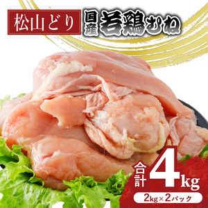 松山どり むね肉 2kg×2パック 計4kg【BJ014】