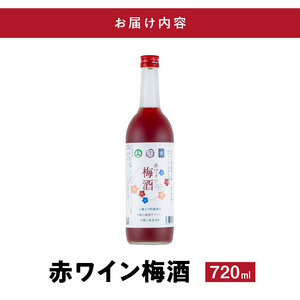赤ワイン梅酒2025　720ミリリットル_EM6113