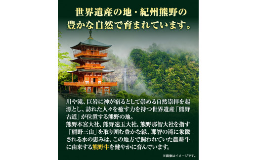 【和歌山県のブランド牛】熊野牛ロースステーキ200g×2枚厳選館《90日以内に出荷予定(土日祝除く)》牛うしロースステーキ---wshg_fgenkloin_90d_22_29000_400g---