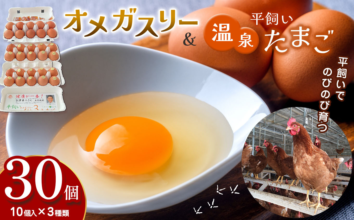 
            オメガスリーたまごセット（10個入り×3パック） ｜ ふるさと納税 信州 鶏 卵 たまご 健康 オメガスリー 温泉たまご 温泉卵 朝ごはん 長野県 松本市 美味しい
          