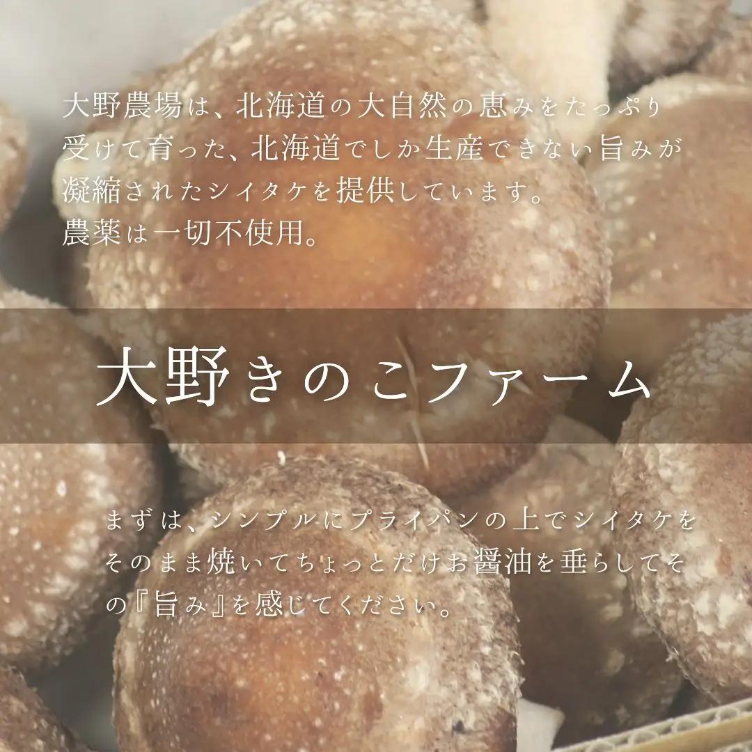 北海道の自然で育った極撰肉厚しいたけ【贈答にも】