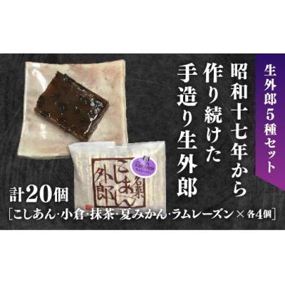 ふるさと納税 山口市 ラムレーズン外郎を含む5種類の生外郎20個セット D180