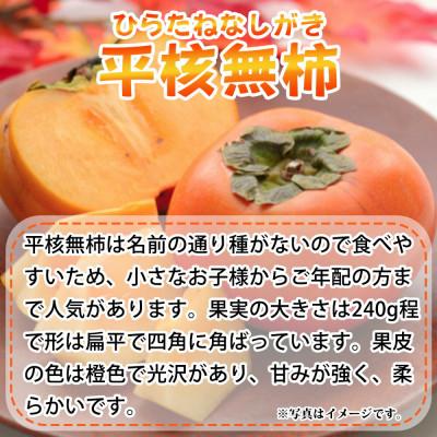 ふるさと納税 北山村 平核無柿 約4kg 化粧箱入【uot701A】 |  | 02