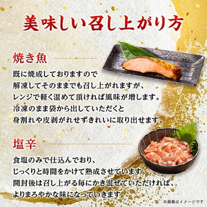 干物・焼魚・塩辛セット【配送不可地域：離島】【1005341】