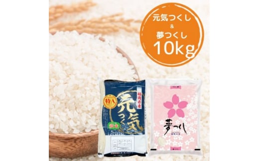 
＜令和5年産＞福岡県産米食べ比べ＜白米＞「夢つくし」と「元気つくし」セット　計10kg芦屋町【1384965】
