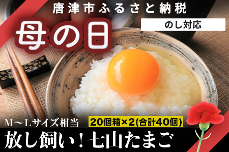 「母の日」放し飼い！七山たまご 20個箱×2(合計40個) (Ｍ~Ｌサイズ相当) 玉子 生卵 鶏卵 佐賀県唐津産