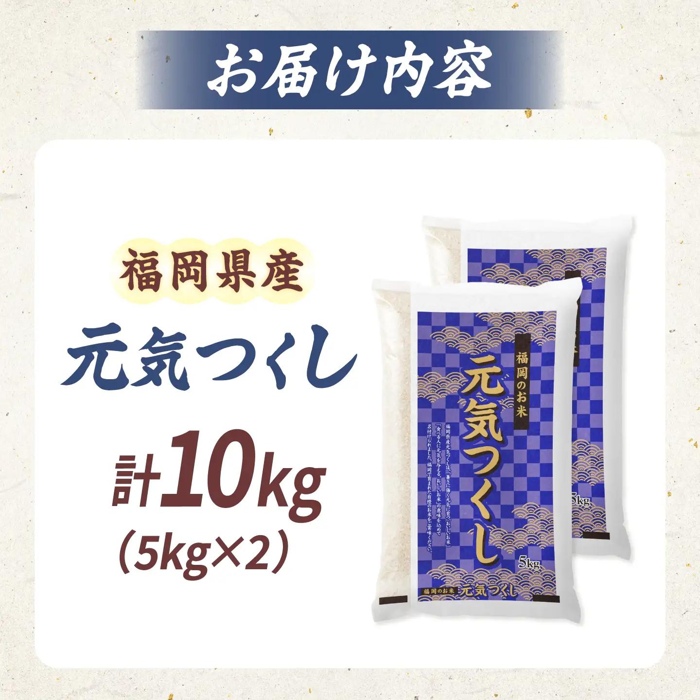 令和7年産 福岡県 元気つくし 10kg（5kg×2袋）[BGBZ005]