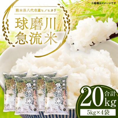 ふるさと納税 八代市 《令和7年産》熊本県八代市産 球磨川急流米 ヒノヒカリ 20kg_131-4801-D