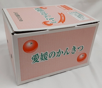 紅まどんな 愛媛 ご家庭用 1.5kg （5～13個）【先行予約】【数量限定】愛果28号 愛媛果試第28号 みかん 柑橘 人気 愛媛 伊予市＜2025年11月下旬～順次発送＞｜B249