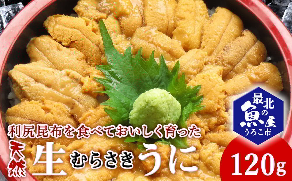 
            利尻昆布を食べておいしく育った「生むらさきうに」120ｇ
          