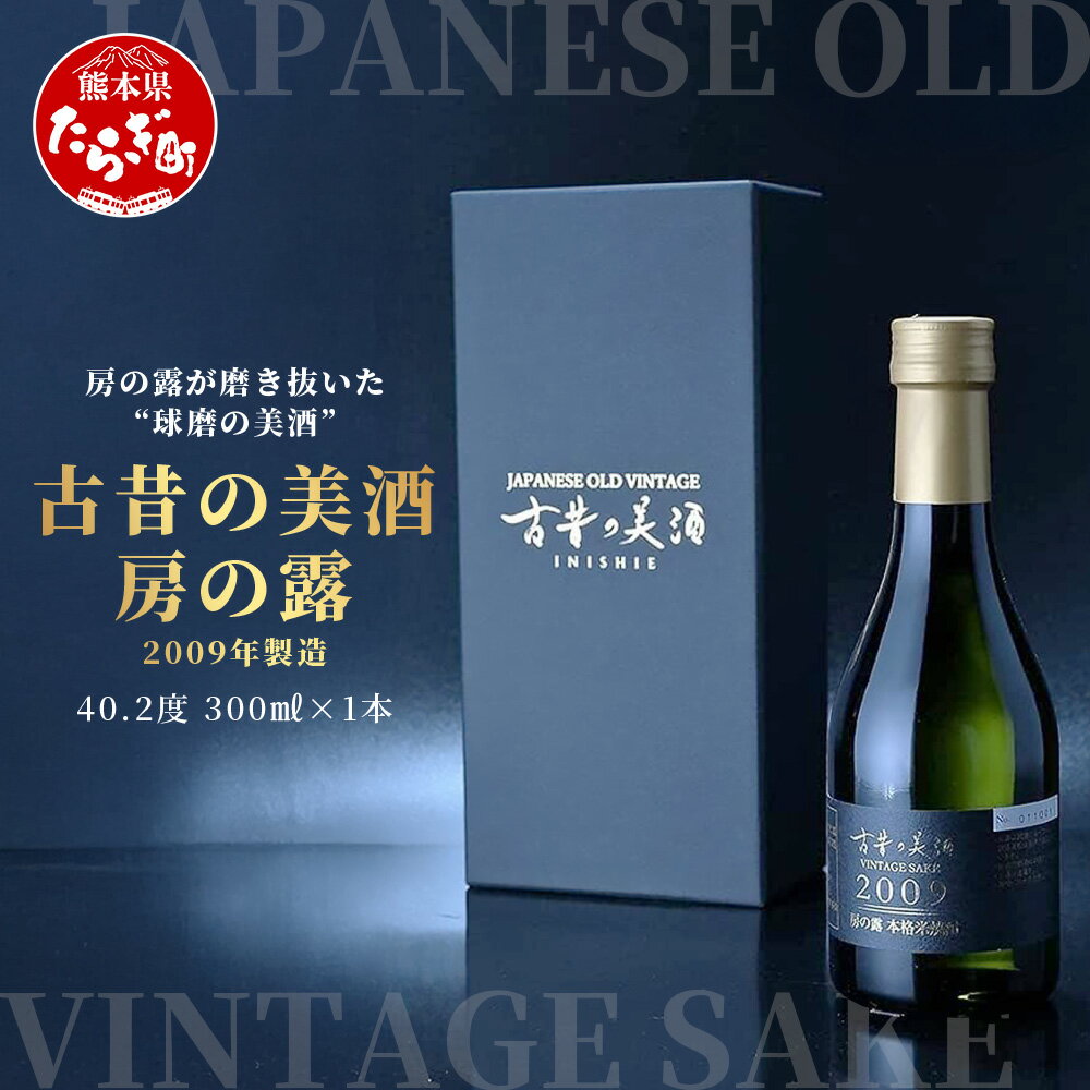 【ふるさと納税】店主が選ぶ 『 吟醸酵母 の 球磨焼酎 2本セット 』 720ml 25度 × 2本 吟醸香 芳醇 吟醸 米焼酎 米 焼酎 お酒 球磨 球磨焼酎 贈り物 ギフト 熊本県 多良木町 送料無料