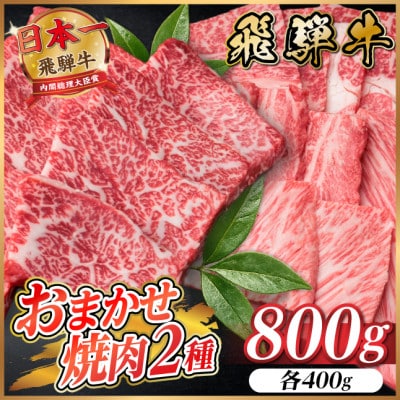 飛騨牛　おまかせ焼肉2種セット約800g(各約400g) 訳あり【配送不可地域：離島】