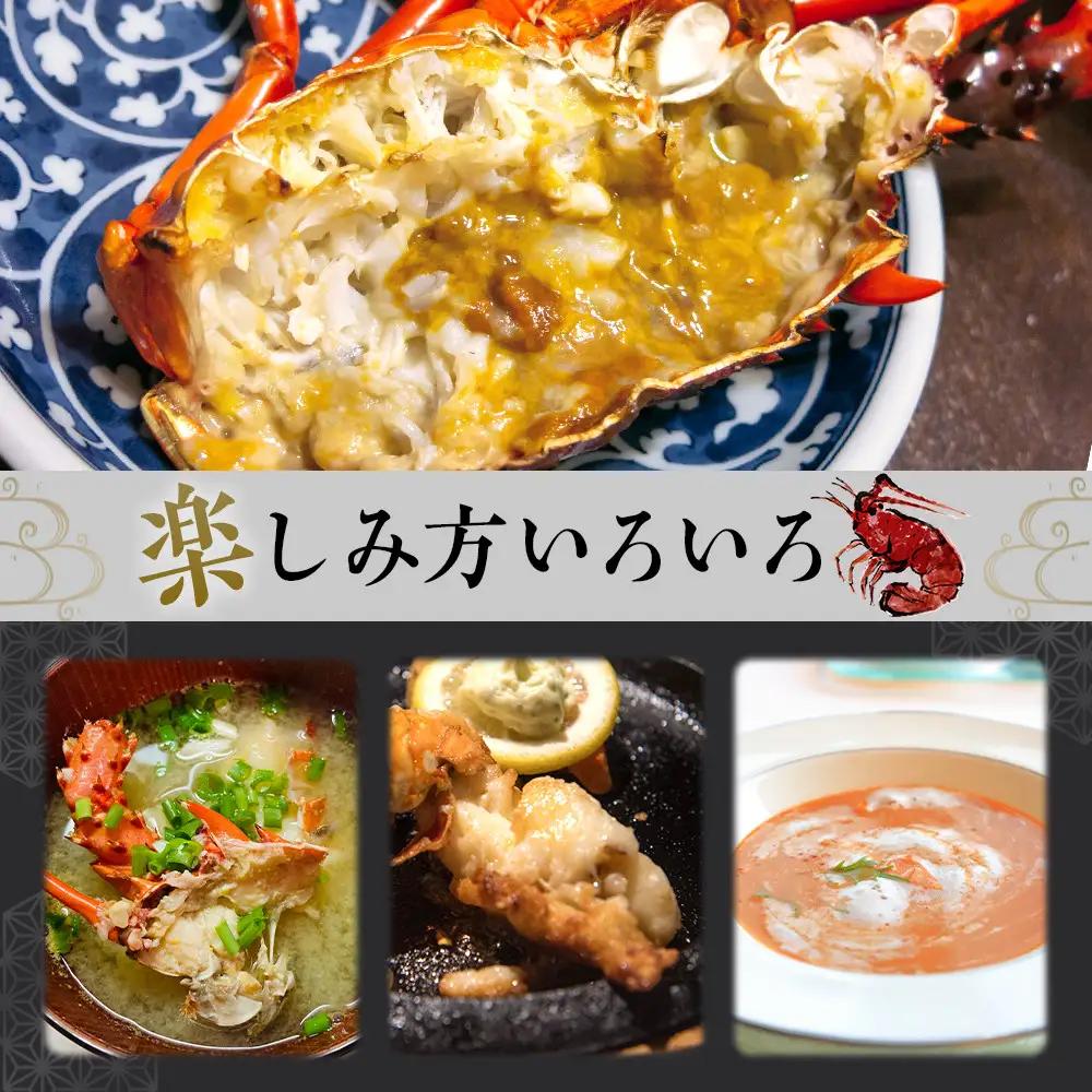 冷凍伊勢海老カット約1kg（サイズ不揃い）［HC15］