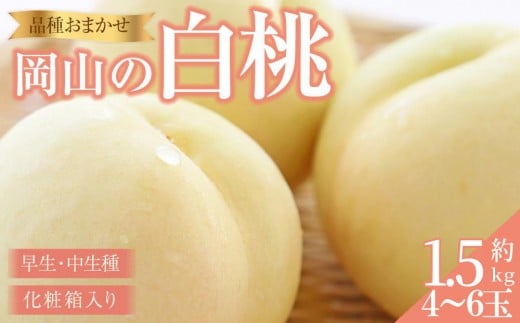 
            桃 2026年 岡山の 白桃（早生、中生種）約1.5kg 4~6玉 もも モモ 岡山県産 国産 フルーツ 果物 ギフト 横木農園
          