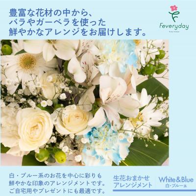 ふるさと納税 佐倉市 生花お任せアレンジメントM 白・ブルー系 お祝いやお誕生日におすすめ |  | 01