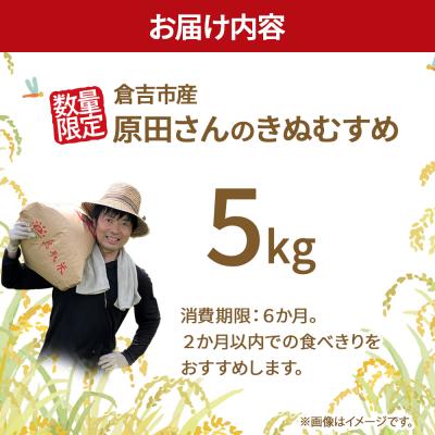 ふるさと納税 倉吉市 【新米】【在庫限定】令和7年産米 原田さんのきぬむすめ 5kg (原田農園)数量限定 15G021 |  | 03
