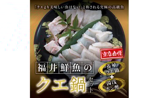 
                  【先行予約】幻のクエ！和歌山県産 鍋＆湯浅ゆずポン酢セット くえ 鍋 セット【fki102】
                