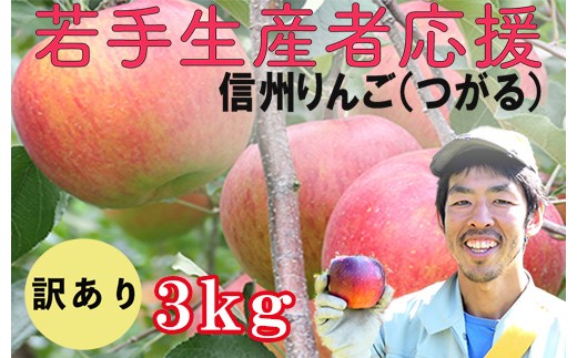 若手生産者応援 りんご （サンつがる） 訳あり 3㎏ 数量限定 先行予約 川上啓介 果物 フルーツ 家庭用 長野県 麻績村 麻績 信州