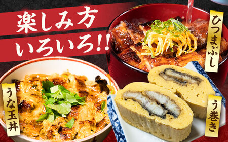 【全3回定期便】福岡県産 うなぎ 蒲焼 大3尾 合計 480 g（1尾あたり 160g以上）[VAD014] 国産 うなぎ