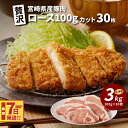 宮崎県産豚肉ロース100gカット30枚