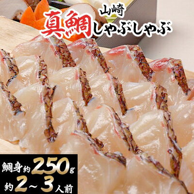 【ふるさと納税】山崎真鯛しゃぶしゃぶ約2〜3人前　〆の蓮根麺つき【配送不可地域：離島・北海道・沖縄県・東北・関東・九州】【1228931】