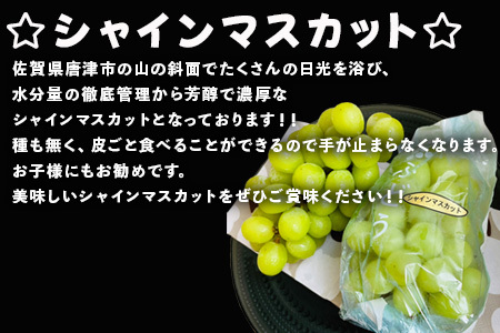 『予約受付』【令和6年9月下旬発送】シャインマスカット500g 1房 葡萄 ぶどう 果物 フルーツ スイーツ