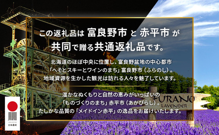 【富良野市×赤平市共通返礼品】富良野スキー場 シーズン リフト1日券2枚 × Brush 北海道カラーパレットハードスーツケース　北海道 富良野市 赤平市 コラボ 共通返礼品