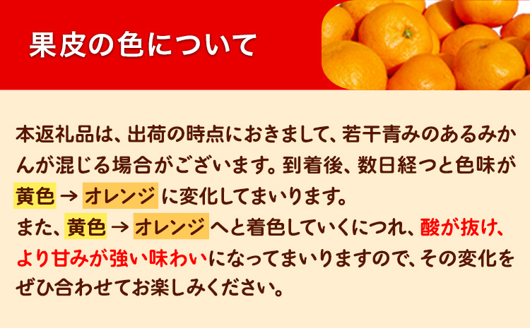 みかん 訳あり 早生 みかん 5kg ( サイズ 不選別 ) どの坂果樹園《12月上旬-2月上旬頃出荷》和歌山県 日高川町 みかん ご家庭用 訳あり 早生 みかん サイズ 不選別 おまかせ 旬 柑橘 