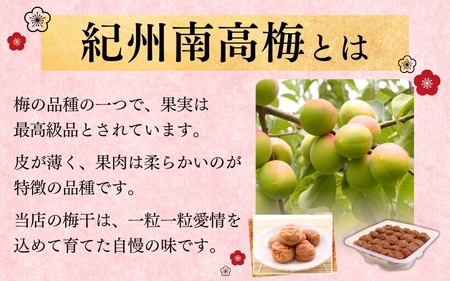 ＜贈答用＞最高級紀州南高梅大粒 食べ比べセット 500g×2（しそ味・こんぶ風味）【inm900-5】