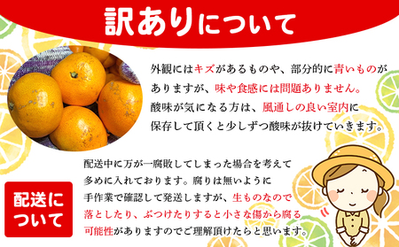 ＜木下さんちのみかん 訳あり 約10kg（2S～2Lサイズ混合）＞ 選べる わけあり 家庭用 柑橘 温州みかん うんしゅうみかん ミカン 蜜柑 果物 くだもの フルーツ 国産 特産品 木下農園 愛媛県