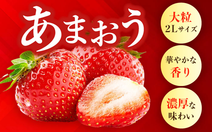 【先行予約】【全3回定期便】農家直送 朝採り新鮮いちご【博多あまおう】約270g×4パック【2027年2月以降順次発送】《築上町》【株式会社H&Futures】 [ABDG006]