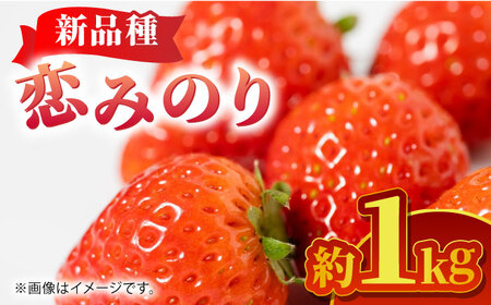 【先行予約】恋みのり 約1kg 果物いちご苺ZBG062
