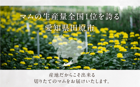 【マムリース キット】～Yellow & Orange～