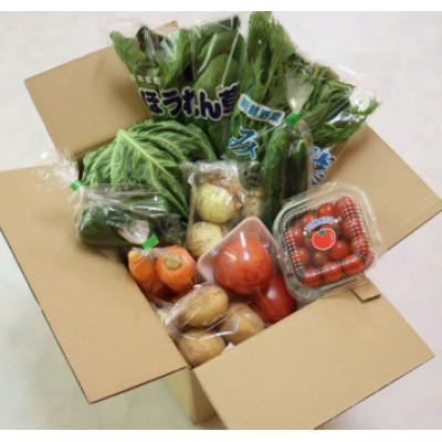 ふるさと納税 島原市 【10〜5月限定出荷】こむたの旬の野菜つめあわせ(13〜15品目)おまかせLセット |  | 01