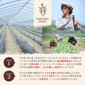 【B7086】やさいサーカス4種セット(トマトソース、油淋鶏ソース：120g・にんにくの芽ピクルス：60g・サラダピクルス：90g) トマト トマトソース ソース ニンニク にんにく ニンニクの芽 調