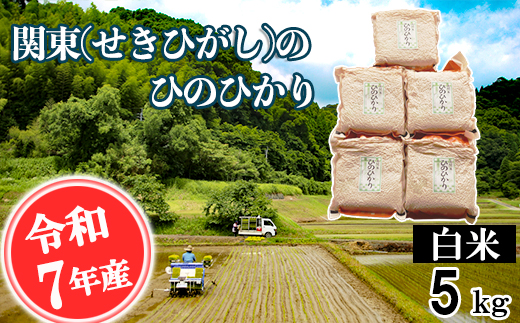 【令和7年産】関東(せきひがし)のひのひかり 白米 5kg 真空 パック 熊本県 南関町産 単一原料米 ヒノヒカリ 産地直送 お米