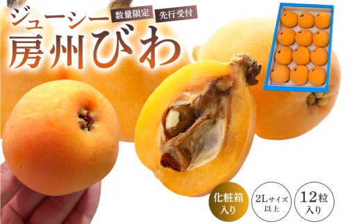 【先行受付 2026年5月中旬～6月中旬発送予定】【数量限定】生産者直送　ジューシー房州びわ（2Lサイズ以上）化粧箱入り mi0057-0002 【果物 フルーツ デザート おやつ 枇杷 ビワ 国産 特産品 贈答】