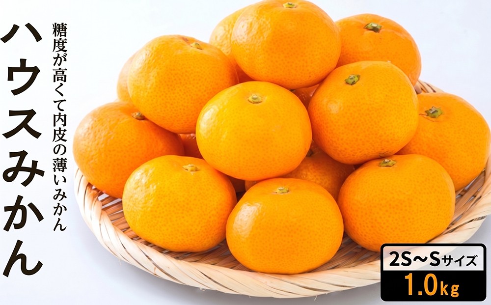
                  【7月下旬頃から順次発送】 ハウスみかん 2S~Sサイズ 1.0kg 化粧箱 秀品 (青秀以上) | 愛媛県産 みかん 蜜柑 オレンジ 柑橘 果物 フルーツ 秀品 化粧箱 お取り寄せ おすすめ 愛媛県 松山市
                