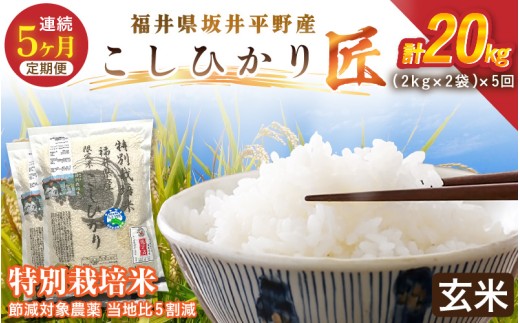 【5ヶ月連続お届け】令和7年産 特別栽培米 コシヒカリ匠  4kg（2kg×2袋）×5回 計20kg 節減対象農薬当地比5割減【玄米】【米 コメ お米 コシヒカリ ふるさと納税米 ブランド米 国産】 [I-2908_02]