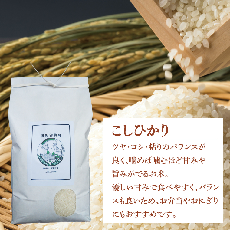 【先行予約】【10月中旬より発送】 コシヒカリ5kg・にじのきらめき5kg 食べくらべセット【お米 白米 コシヒカリ こしひかり 茨城県産】(71-01)